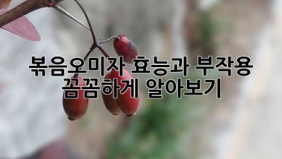 볶음오미자 효능과 부작용, 꼼꼼하게 알아보기